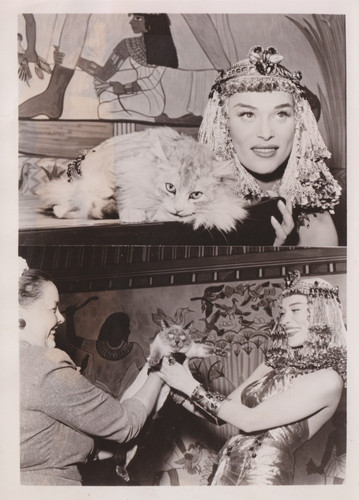 1954 stampa foto attrice - 1954,