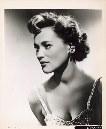 Bella darvi photo - bella,